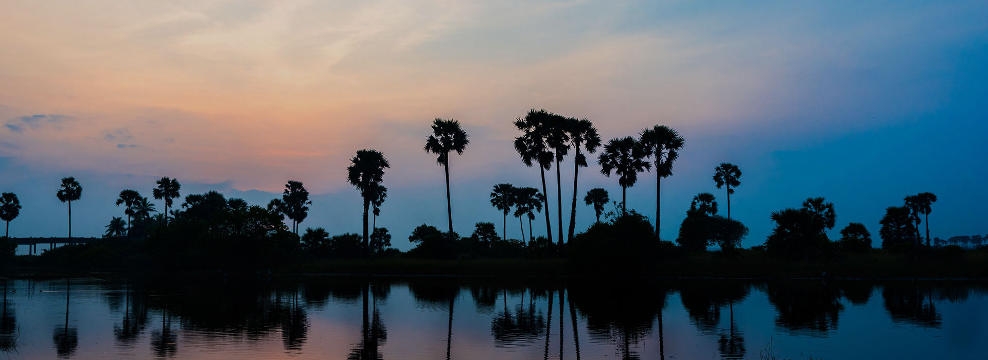Traveler enjoying a scenic view